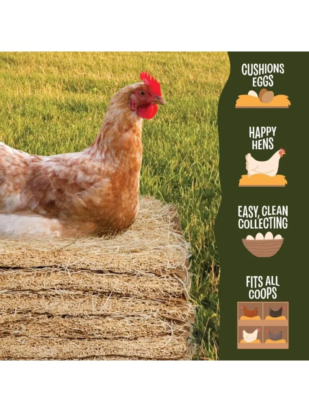Coop Nesting Pads for Chickens - USA Grown Aspen Excelsior Liners, 13x13, 40